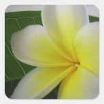 Blumenaufkleber