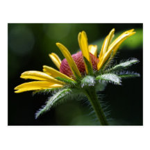 Blumenblumenblatpostkarte