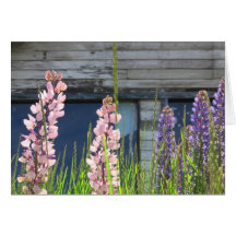 Blumenfoto-Karte