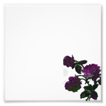 Blumengrenze Kunstphotos