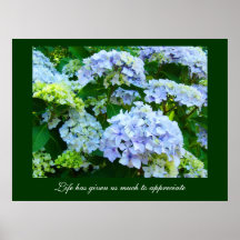 Blumenkunst Leben hat uns viel gegeben, um zu schä Poster