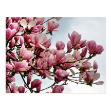 Blumenpostkarte 79