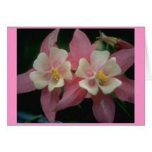Blumenwunder Grußkarte