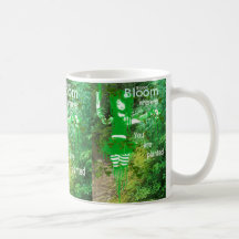 Blüte Kaffee Haferl