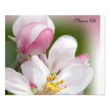 Blüten Photodrucke