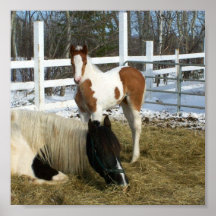 Bonnie und Layla Plakat