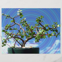 Bonsai tree with spiral effect overlay flyers