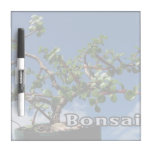 Bonsai w text photograph portulacaria afra tree 1. dry erase whiteboard