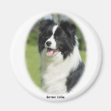 Border-Collie 9T085D-101 Kühlschrankmagnet