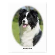 Border-Collie 9T085D-101 Postkarte