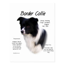 Border-Collie-Geschichtsentwurf Postkarten