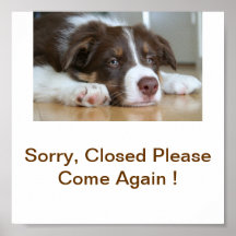 Border-Collie-Hundegeschlossenes Geschäfts-Zeichen Plakat