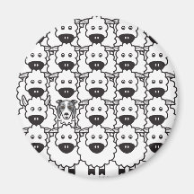 Border-Collie in den Schafen Kühlschrankmagnet