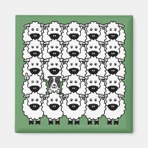 Border-Collie in den Schafen Kühlschrankmagnet