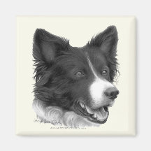 Border-Collie Kühlschrankmagnete