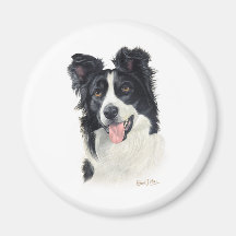 Border-Collie Magnets