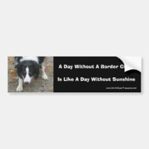 Border-Collie-Starren-Autoaufkleber