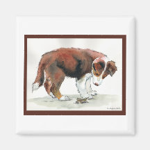 Border-Collie-Welpe u. Heuschrecke Magnets