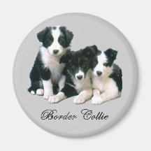 Border-Collie-Welpen Kühlschrankmagnete