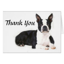 Boston Terrier danken Ihnen zu kardieren Karten