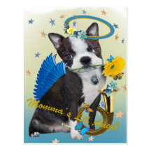 Boston Terrier Mommas Lil Engelsgeschenke Postkarten