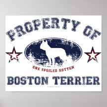 Boston Terrier Plakat