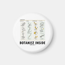 Botaniker-Innere (Arten der Knospen) Magnete
