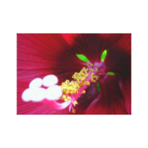 BOTANISCHE EMPFINDUNG LEINWANDDRUCKE