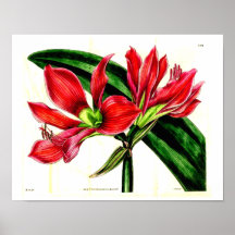 Botanischer Druck Plakatdruck