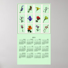 Botanischer Foto-Skizze-Plakat-Kalender 2013
