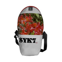 Bote-Tasche des Rickshaw-SYK7 Kurier Tasche