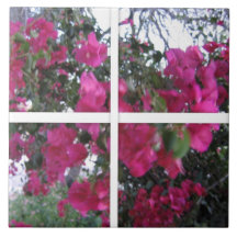 BOUGAINVILLA DURCH DAS FENSTER KACHELN