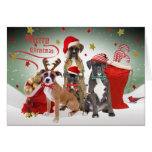 Boxer-frohe Weihnacht-Gruß-Karten