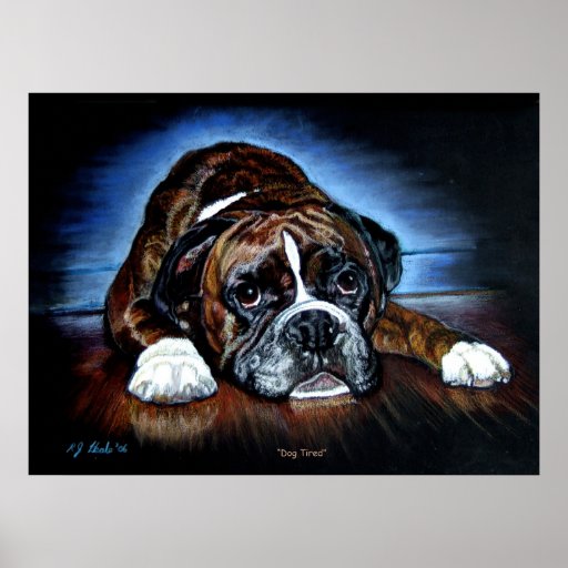 Boxer-Hundedruck, Plakat