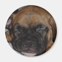 Boxer-Magnet Kühlschrankmagnet