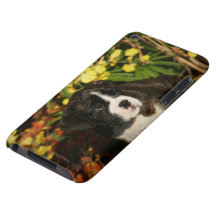 Boxer-Welpen Barely There iPod Etuis