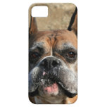 BoxerhundiPhone 5 universeller Fall iPhone 5 Schutzhülle