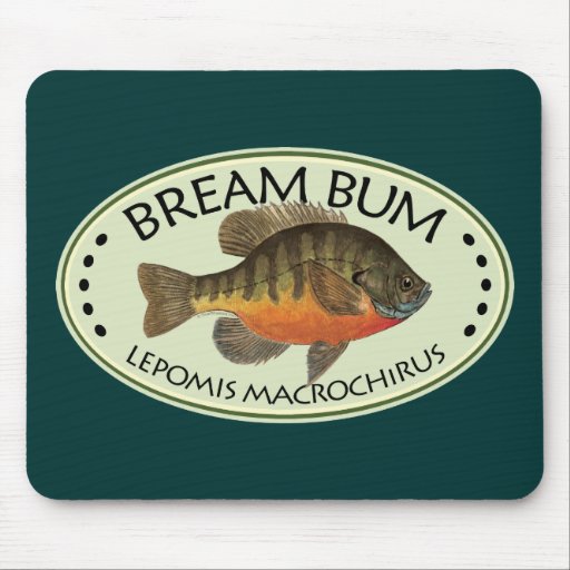 Brachsen-wertlosfischen Mousepad