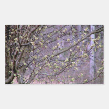 Bradford-Birnen-Baum-Knospen Sticker