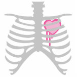 Bratenfett-Herz in Ribcage Foto Ausschnitte