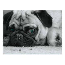 breena pic postkarte