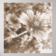 Brennende Leidenschaft Poster