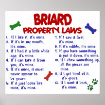 BRIARD PL2 POSTERDRUCKE