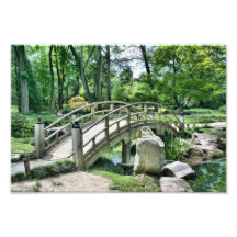 Bridge in the Garden Photo