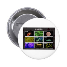 Briefmarke Anstecknadelbutton