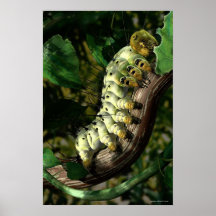 Briefträger Caterpillar Plakat