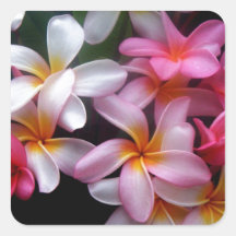 Bright Spring Pink Flower Cluster Sticker