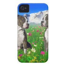 Brindle u. blaue Staffordshire- u. Pitbull-Hunde Case-Mate iPhone 4 Hüllen