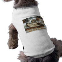 Brinkley Hunde Shirt
