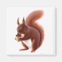 Britischer rotes Eichhörnchen-Magnet